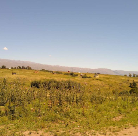 Terreno en Venta